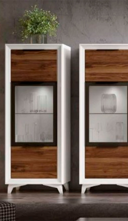 vitrina conexion imagen 2